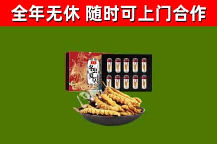 三原县回收冬虫夏草价格